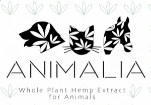 Animalia 1800 - CBD Hemp Oil for Animals - Monthly Membership - Phytorite