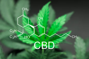 CBD and Pain Relief
