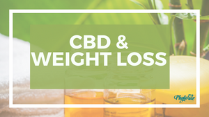 Can CBD help with Weight Loss