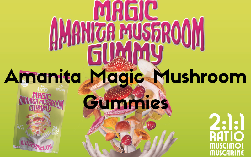 Magic Amanita Mushroom Gummies