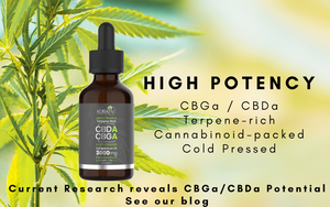 Joint International research team reveals CBGa and CBDa potential benefits in prevention and recovery in the fight against COVID. Cold pressed, limited reserve, high potency 3000 mg oil by Kurativ CBD 
