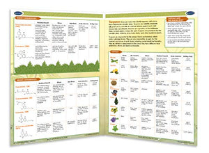Cannabis and CBD Charts - 8 Chart Quick Reference Guide Bundle - Cannabinoid Educational Series by Permacharts - Phytorite