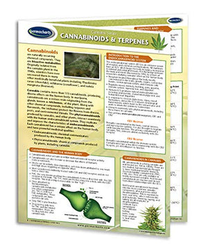 Cannabis and CBD Charts - 8 Chart Quick Reference Guide Bundle - Cannabinoid Educational Series by Permacharts - Phytorite